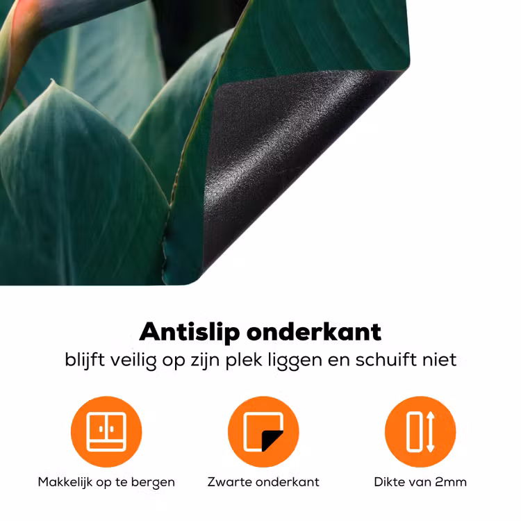 Paradijsvogel - Bloem - Exotisch Inductie beschermer vinyl 3mm klein -zzzzzzz-td-onderkant