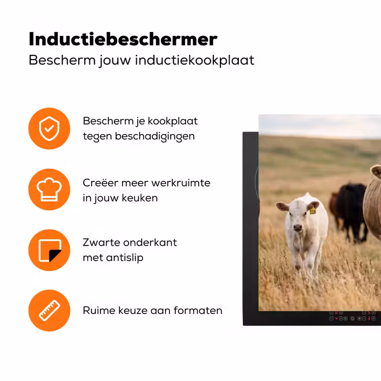 Runderen - Kudde - Landschap - Weide - Rustig Inductie beschermer vinyl 3mm klein -zzzzzzz-td-ups