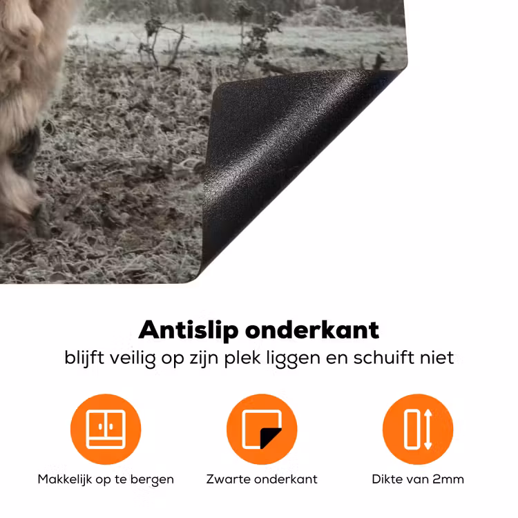 Schotse Hooglander - Bos - Mist - Koe - Dieren - Natuur Inductie beschermer vinyl 3mm klein -zzzzzzz-td-onderkant