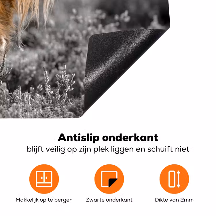 Schotse Hooglander - Dieren - Bruin - Koe - Zwart - Wit - Natuur Inductie beschermer vinyl 3mm klein -zzzzzzz-td-onderkant