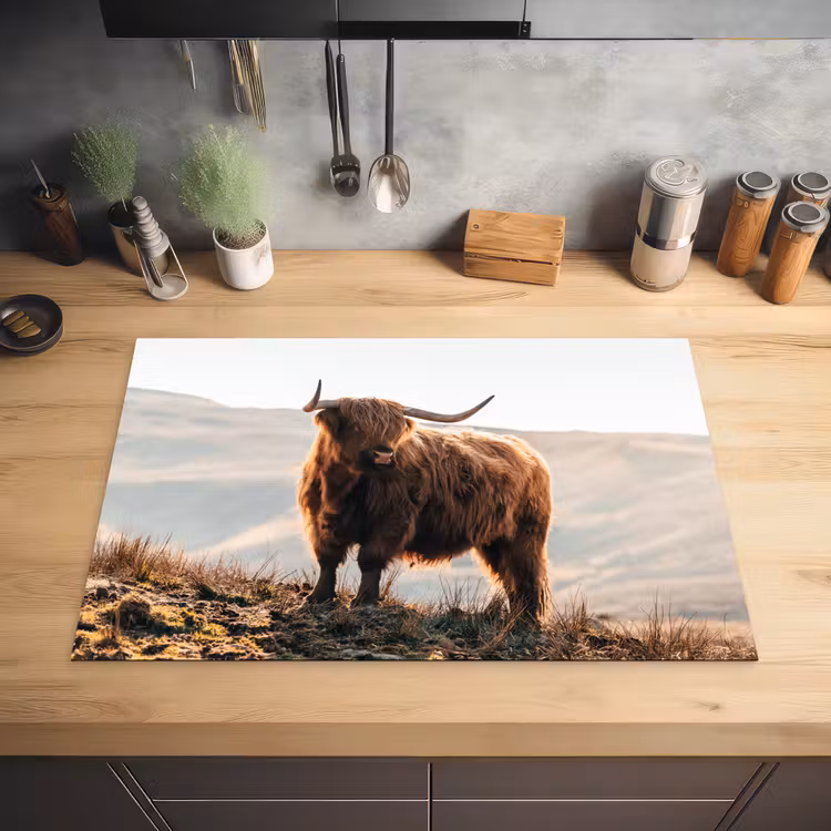 Schotse hooglander - Dieren - Landelijk - Landschap - Koe - Natuur Inductie beschermer vinyl 3mm klein -sfeer5