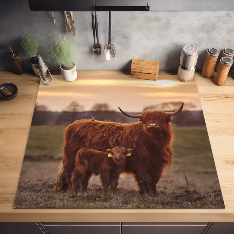 Schotse hooglander - Dieren - Landschap - Zonsondergang - Koe Inductie beschermer vinyl 3mm middel -sfeer5