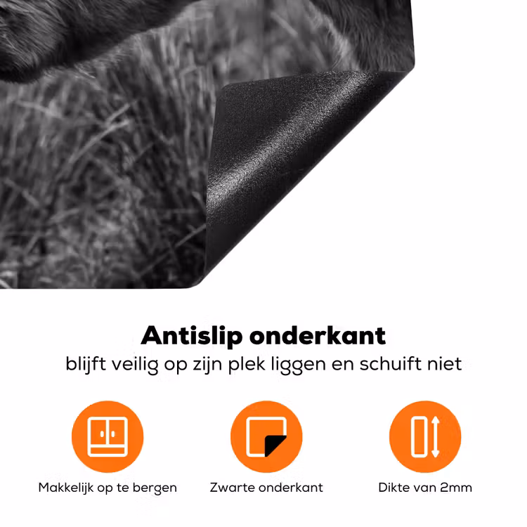 Schotse hooglander - Kalf - Zwart - Wit Inductie beschermer vinyl 3mm klein -zzzzzzz-td-onderkant