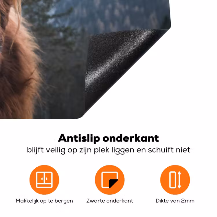 Schotse hooglander - Koe - Dieren - Berg - Natuur Inductie beschermer vinyl 3mm klein -zzzzzzz-td-onderkant