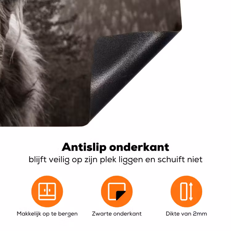 Schotse hooglander - Koe - Dieren - Zwart - Wit Inductie beschermer vinyl 3mm klein -zzzzzzz-td-onderkant