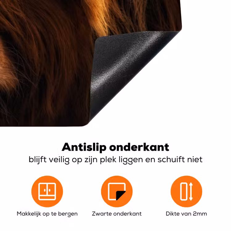 Schotse Hooglander - Koe - Portret - Dieren Inductie beschermer vinyl 3mm klein -zzzzzzz-td-onderkant