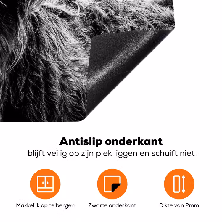 Schotse Hooglander - Koe - Zwart - Wit - Dieren Inductie beschermer vinyl 3mm klein -zzzzzzz-td-onderkant