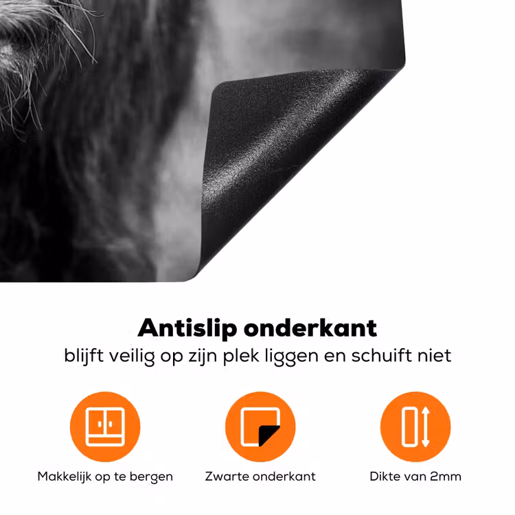 Schotse hooglander - Koe - Zwart - Wit - Dieren Inductie beschermer vinyl 3mm klein -zzzzzzz-td-onderkant