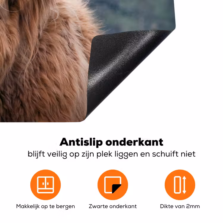 Schotse Hooglander - Koeienkop - Landschap - Natuur - Koe Inductie beschermer vinyl 3mm klein -zzzzzzz-td-onderkant