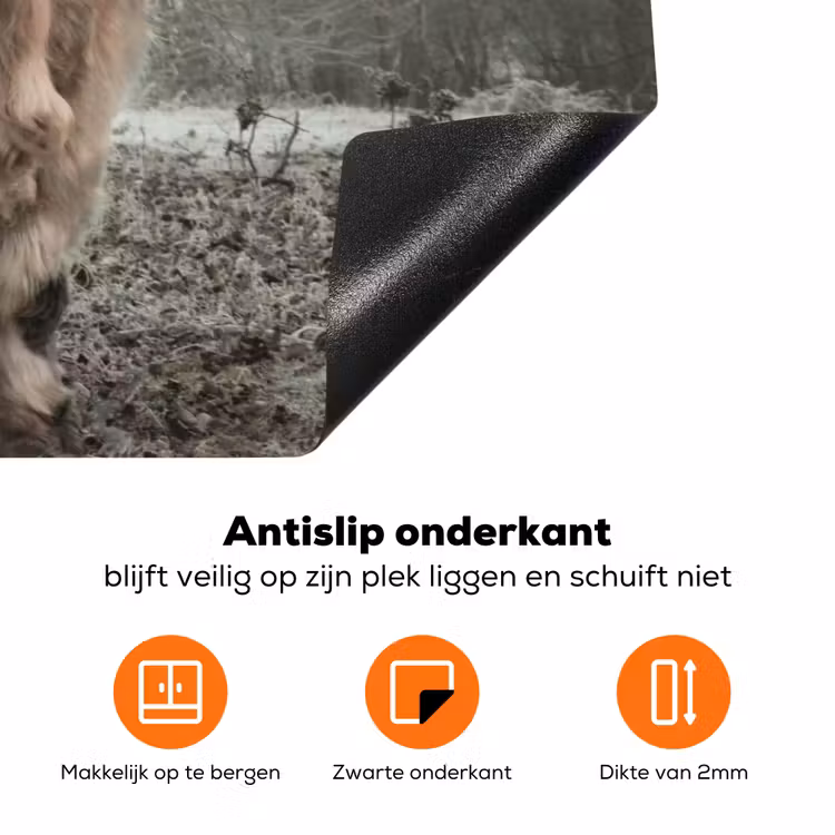 Schotse hooglander - Natuur - Herfst - Dieren - Wild - Bos Inductie beschermer vinyl 3mm klein -zzzzzzz-td-onderkant