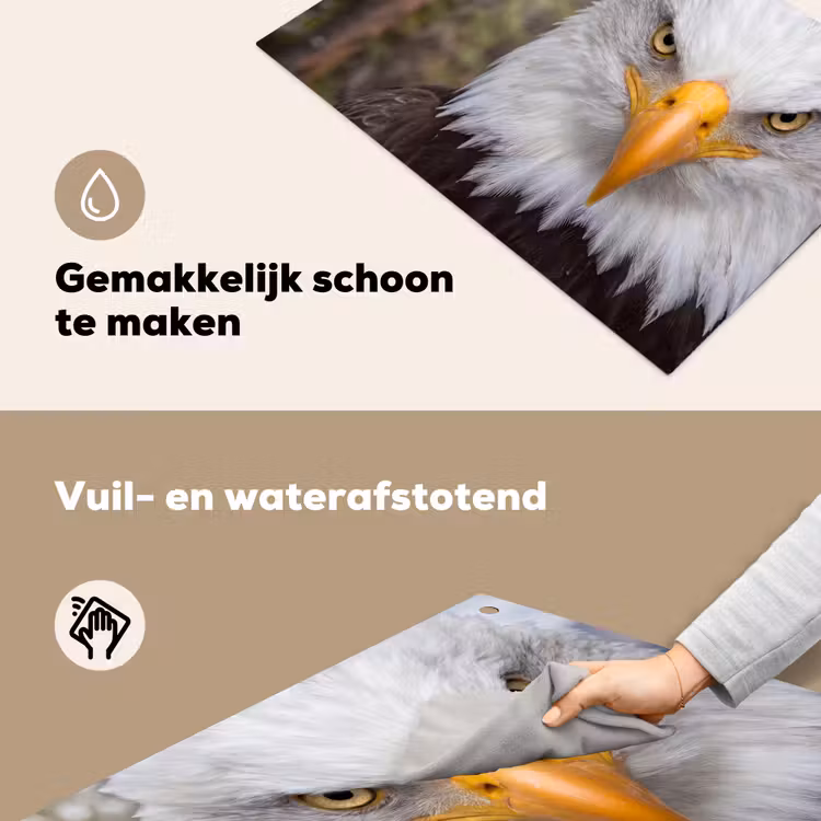Amerikaans - Zeearend - Portret - Geel Inductie beschemer met haakjes klein -ky-schoon-nl