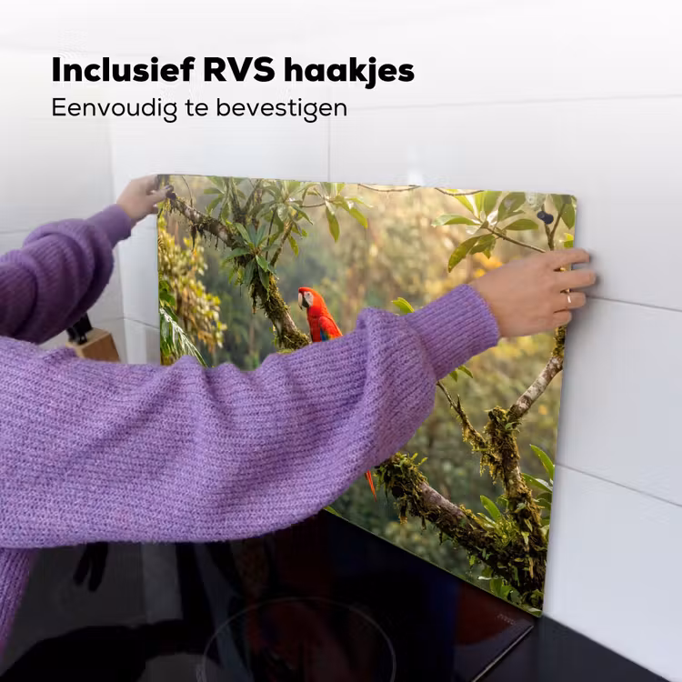 Ara - Jungle - Rood Inductie beschemer met haakjes klein -ky-ophangen-nl