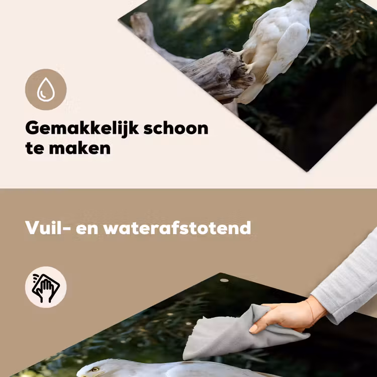 Arend - Hout - Wit - Planten Inductie beschemer met haakjes klein -ky-schoon-nl