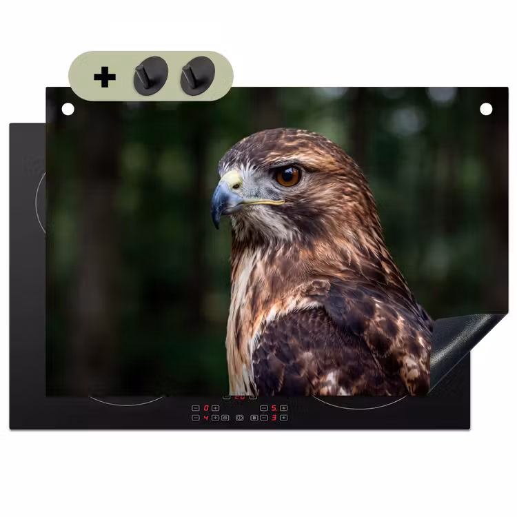 Buizerd - Roofvogel - Natuur - Bruin Inductie beschemer met haakjes klein -3d