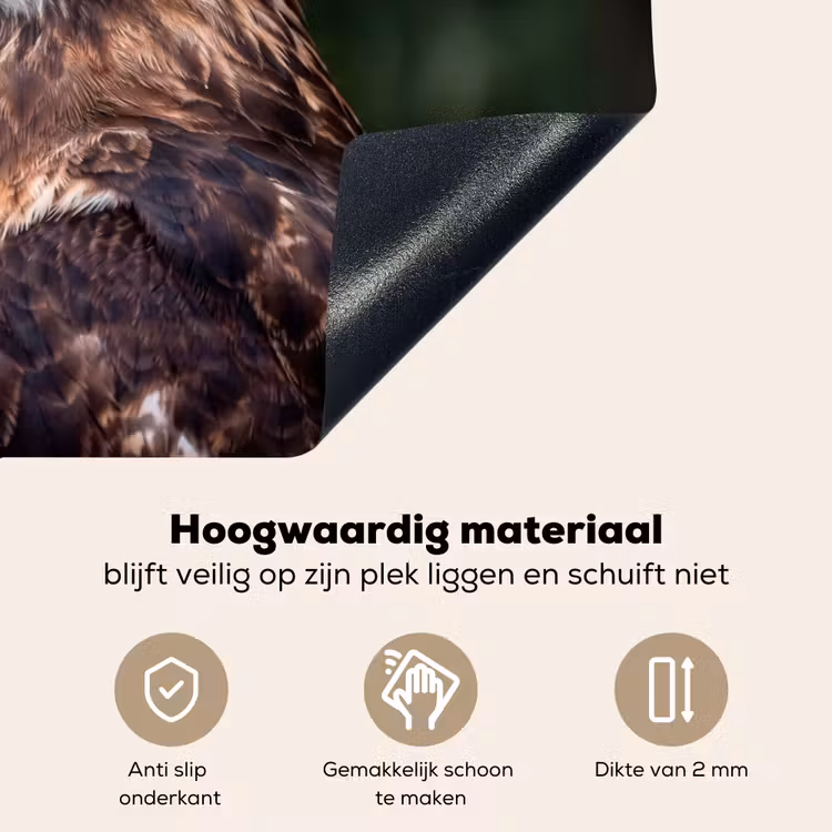 Buizerd - Roofvogel - Natuur - Bruin Inductie beschemer met haakjes klein -ky-onderkant-nl