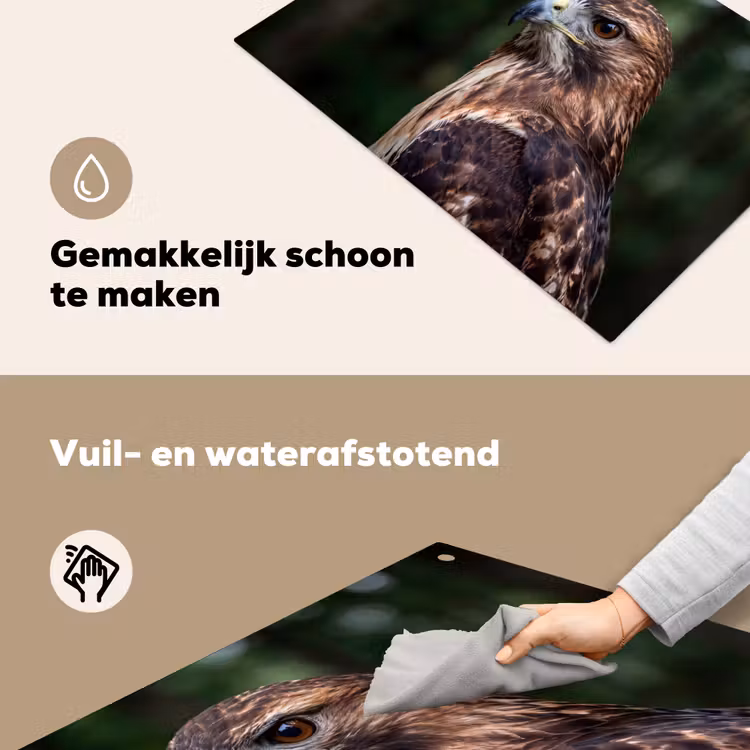 Buizerd - Roofvogel - Natuur - Bruin Inductie beschemer met haakjes klein -ky-schoon-nl