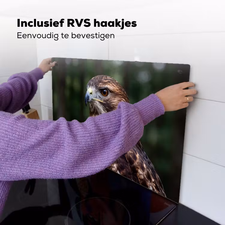 Buizerd - Roofvogel - Natuur - Bruin Inductie beschemer met haakjes klein -ky-ophangen-nl