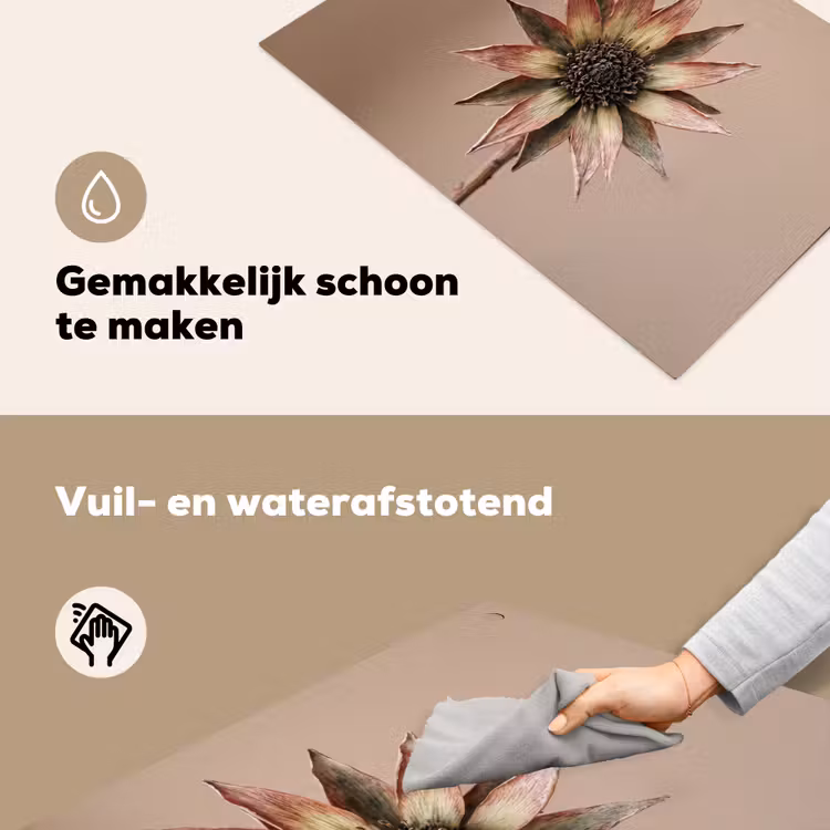 Droogbloem - Protea - Vintage - Beige - Rustiek Inductie beschemer met haakjes klein -ky-schoon-nl