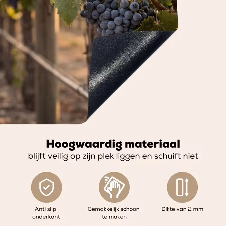 Druiven - Wijngaard - Zonlicht Inductie beschemer met haakjes klein -ky-onderkant-nl