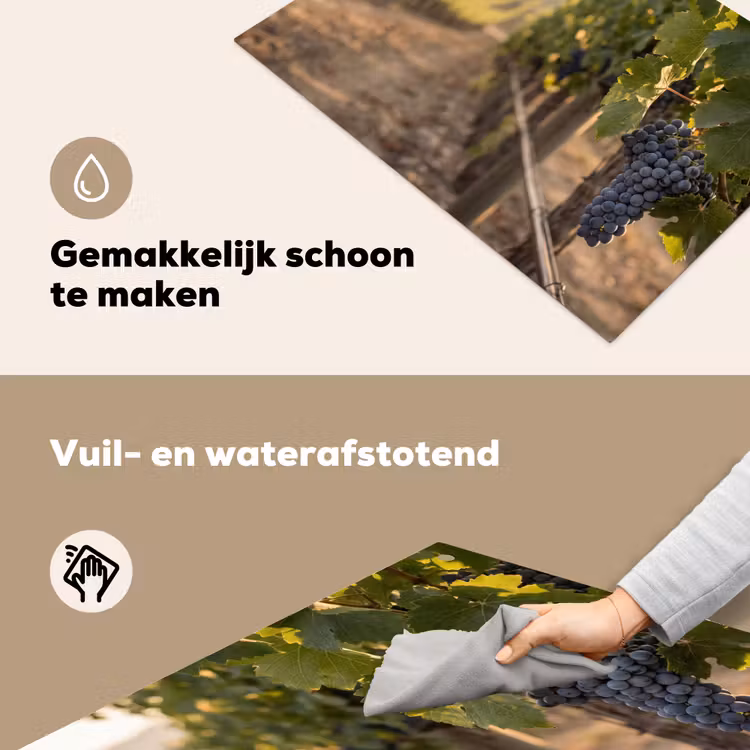 Druiven - Wijngaard - Zonlicht Inductie beschemer met haakjes klein -ky-schoon-nl