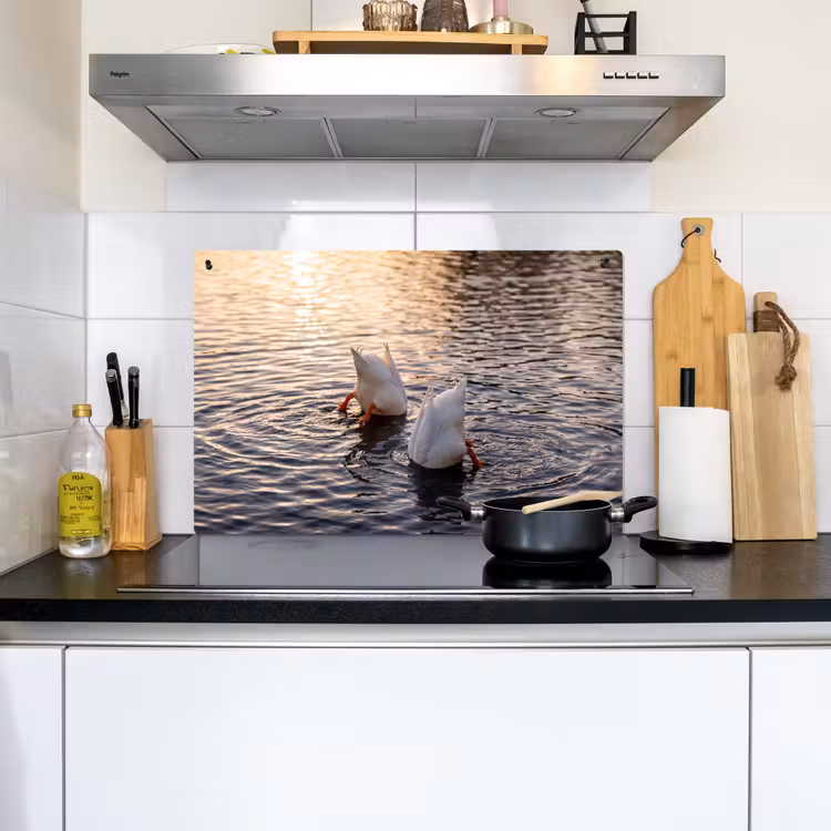 Eenden - Water - Natuur Inductie beschemer met haakjes klein -sfeer2