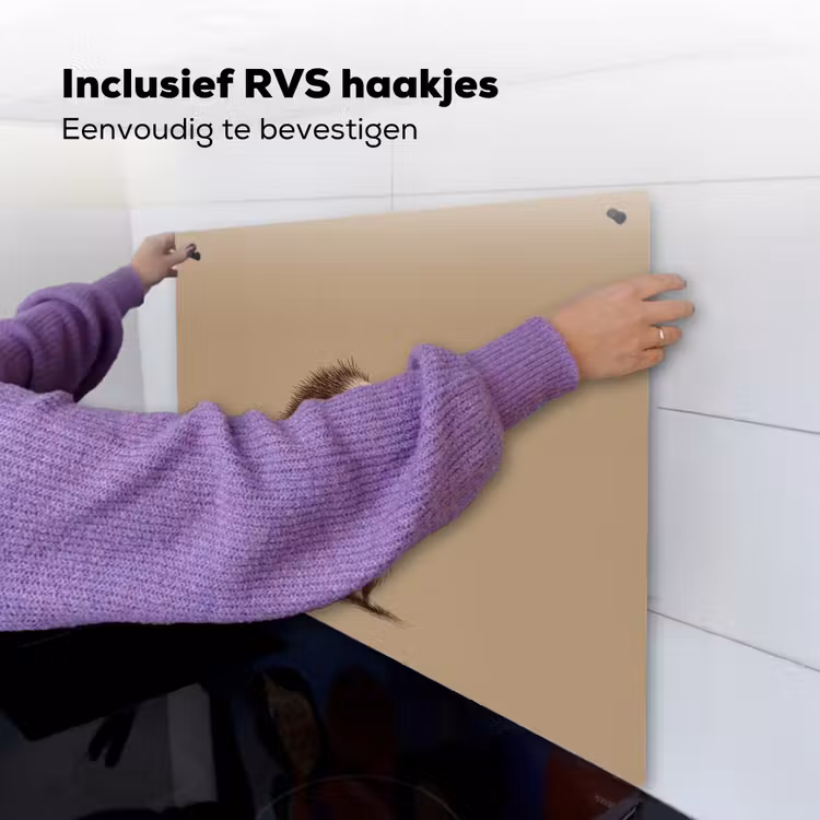 Egel - Snuitje - Bruin - Stekels Inductie beschemer met haakjes middel -ky-ophangen-nl