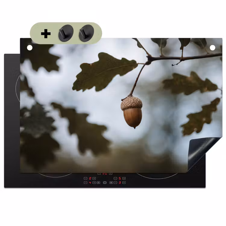 Eikel - Eikenblad - Bos - Herfst - Natuur Inductie beschemer met haakjes klein -3d
