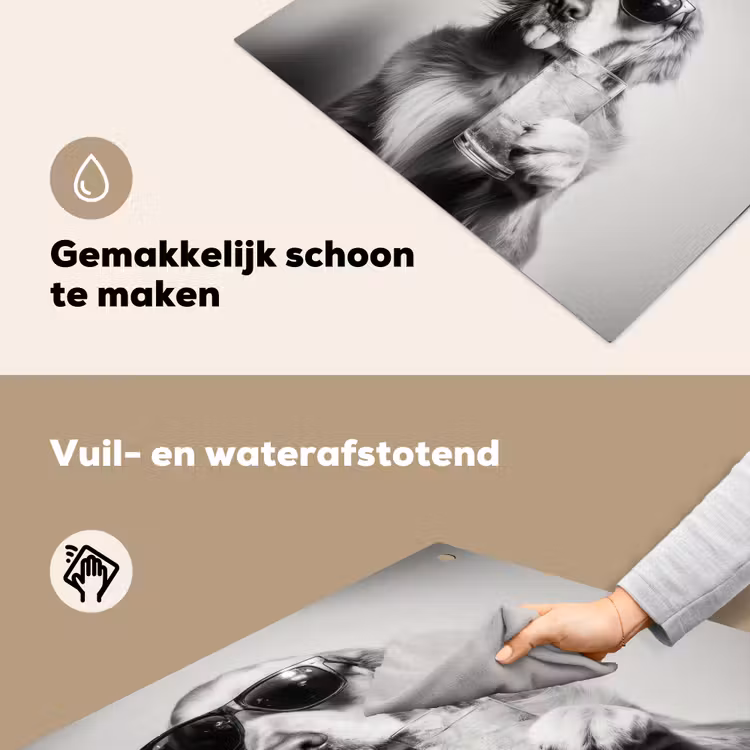Golden retriever - Hond - Zonnebril - Gkas Inductie beschemer met haakjes middel -ky-schoon-nl