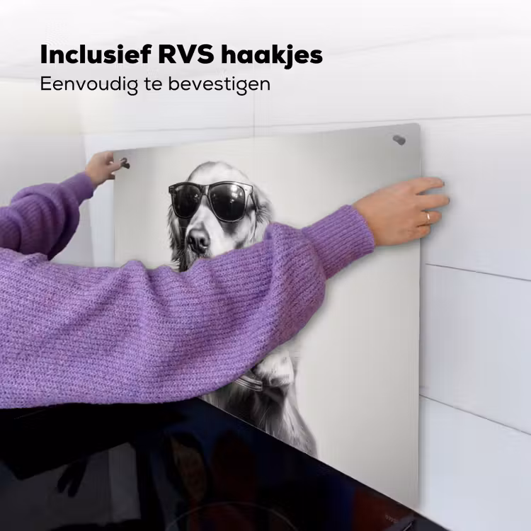 Golden retriever - Hond - Zonnebril - Gkas Inductie beschemer met haakjes middel -ky-ophangen-nl