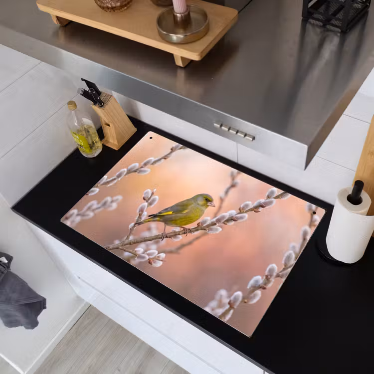 Groenling - Katjes - Lente - Natuur - Zacht Inductie beschemer met haakjes klein -sfeer1