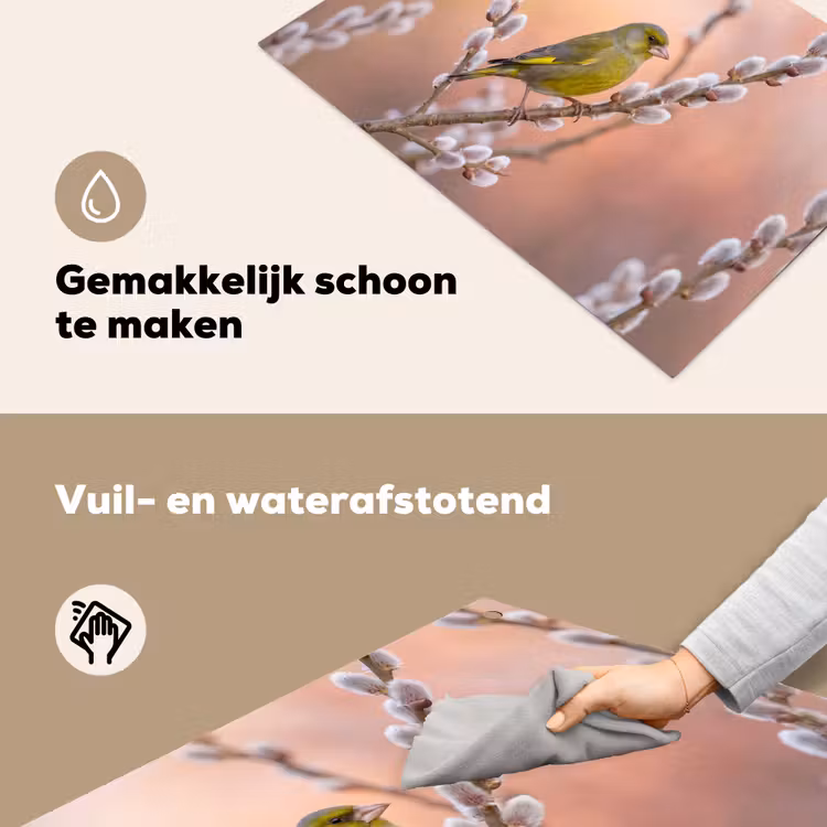 Groenling - Katjes - Lente - Natuur - Zacht Inductie beschemer met haakjes klein -ky-schoon-nl