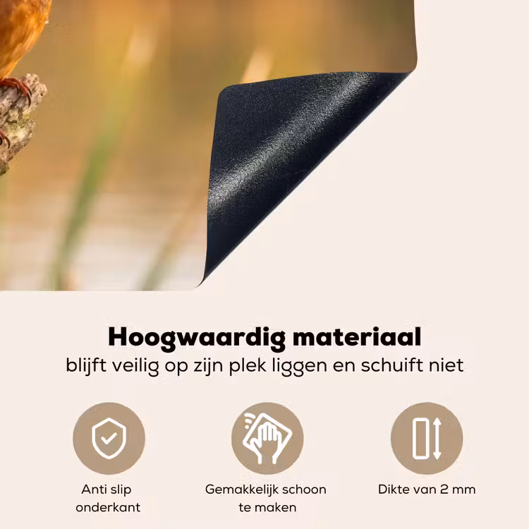 IJsvogel - Tak - Water - Kleurrijk - Levendig Inductie beschemer met haakjes klein -ky-onderkant-nl