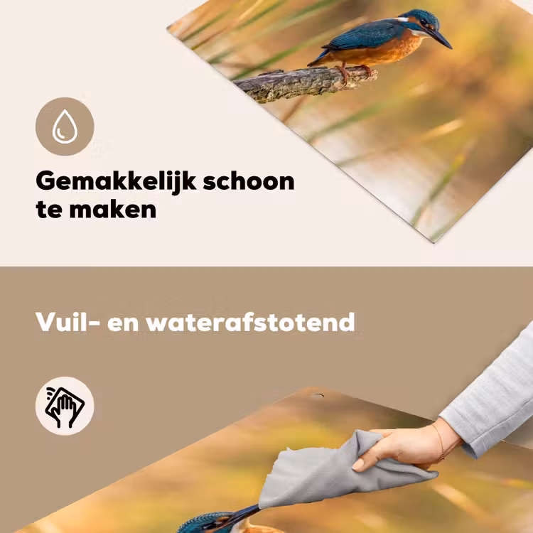 IJsvogel - Tak - Water - Kleurrijk - Levendig Inductie beschemer met haakjes klein -ky-schoon-nl