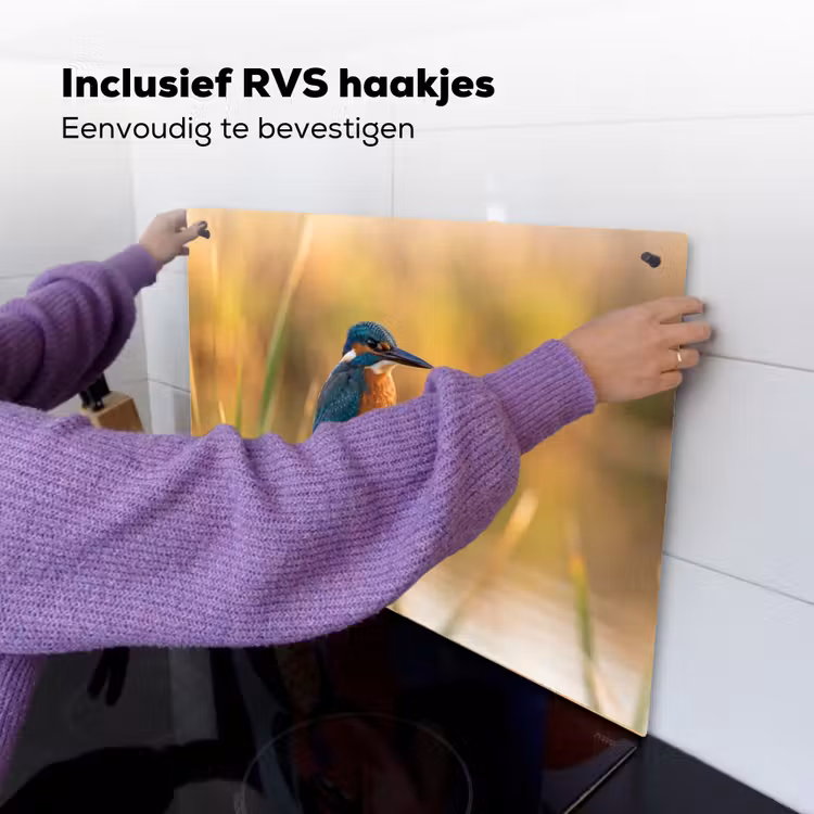 IJsvogel - Tak - Water - Kleurrijk - Levendig Inductie beschemer met haakjes klein -ky-ophangen-nl