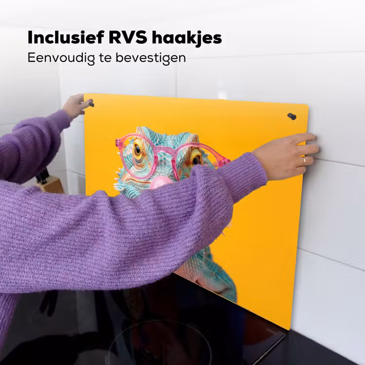 Kameleon - Kauwgom - Kleurrijk Inductie beschemer met haakjes klein -ky-ophangen-nl