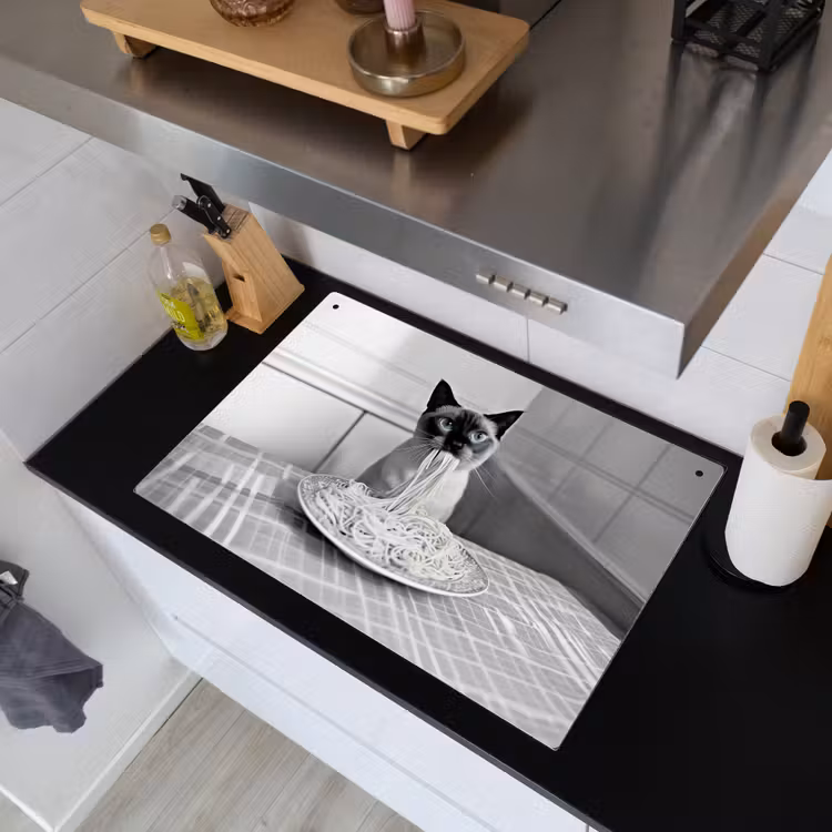 Kat - Siamees - Zwart Wit - Schattig - Dieren Inductie beschemer met haakjes klein -sfeer1