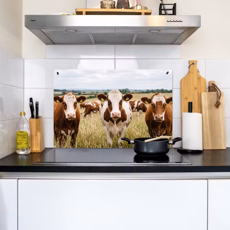Koeien - Portret - Weide - Boerderij - Nieuwsgierig Inductie beschemer met haakjes klein -sfeer2
