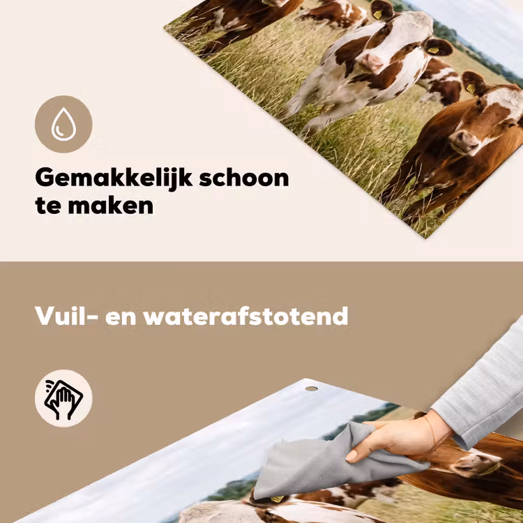 Koeien - Portret - Weide - Boerderij - Nieuwsgierig Inductie beschemer met haakjes klein -ky-schoon-nl