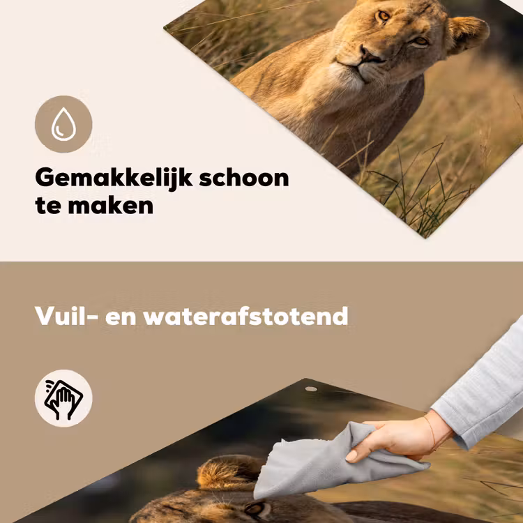 Leeuwin - Gras - Geel Inductie beschemer met haakjes klein -ky-schoon-nl