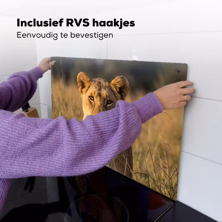 Leeuwin - Gras - Geel Inductie beschemer met haakjes klein -ky-ophangen-nl