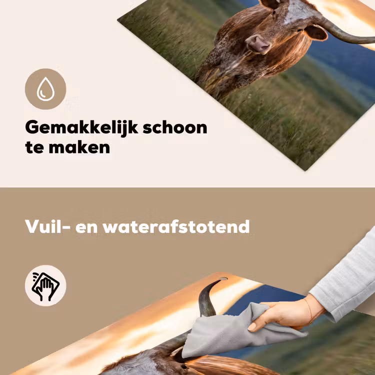 Longhorn - Landschap - Zonsondergang Inductie beschemer met haakjes klein -ky-schoon-nl