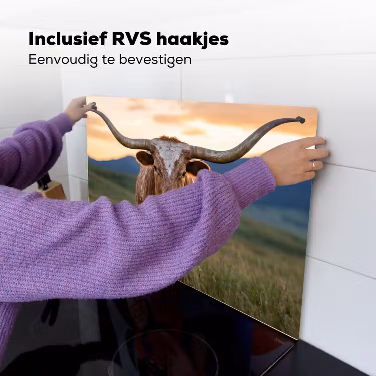 Longhorn - Landschap - Zonsondergang Inductie beschemer met haakjes klein -ky-ophangen-nl