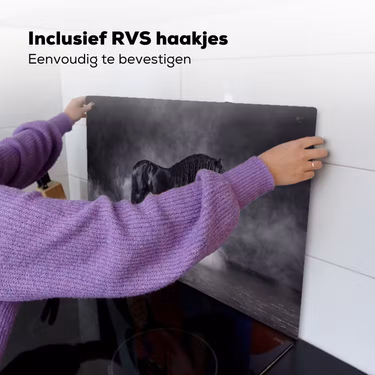 Paard - Magisch - Zwart Inductie beschemer met haakjes klein -ky-ophangen-nl