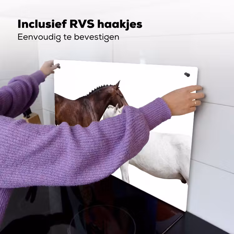 Paard - Modern - Balans Inductie beschemer met haakjes klein -ky-ophangen-nl