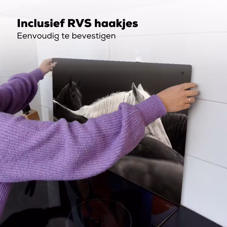 Paarden - Zwart - Wit - Kudde Inductie beschemer met haakjes klein -ky-ophangen-nl