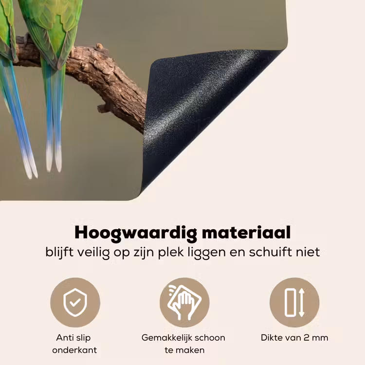 Papagaai - Tak - Natuur - Kleurrijk Inductie beschemer met haakjes klein -ky-onderkant-nl