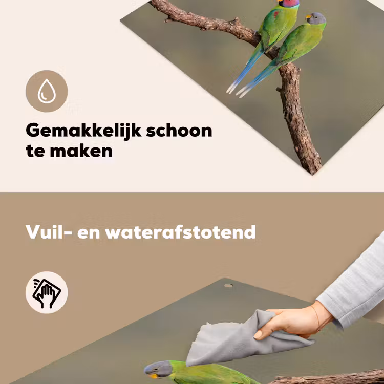 Papagaai - Tak - Natuur - Kleurrijk Inductie beschemer met haakjes klein -ky-schoon-nl