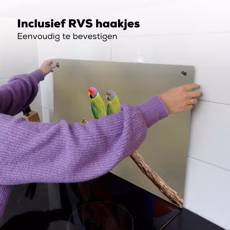 Papagaai - Tak - Natuur - Kleurrijk Inductie beschemer met haakjes klein -ky-ophangen-nl