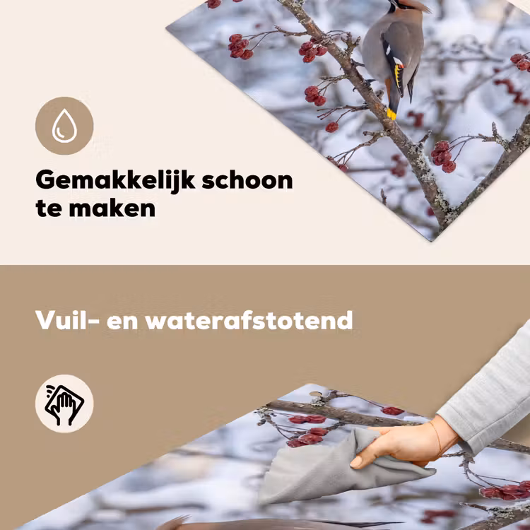 Pestvogel - Bessen - Winter - Natuur Inductie beschemer met haakjes klein -ky-schoon-nl