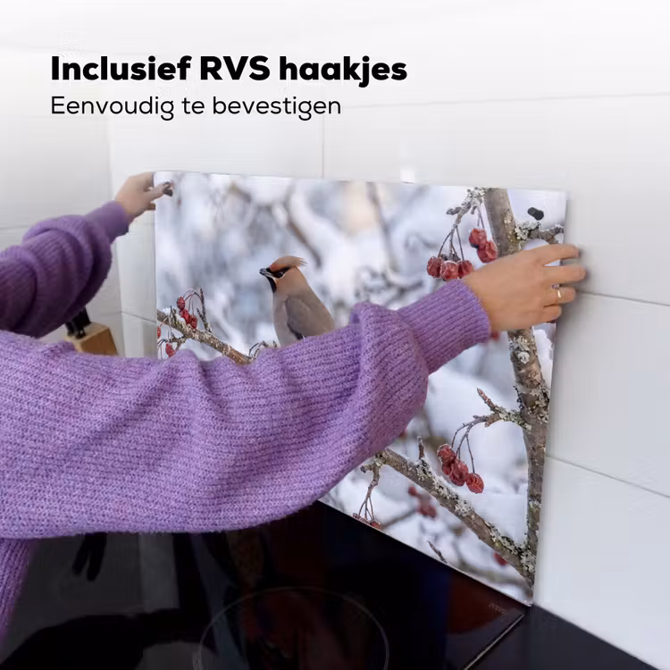 Pestvogel - Bessen - Winter - Natuur Inductie beschemer met haakjes klein -ky-ophangen-nl